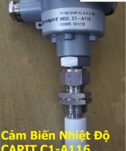 Can Nhiet Capit C1-A116 - Cam Bien Nhiet Do PT100