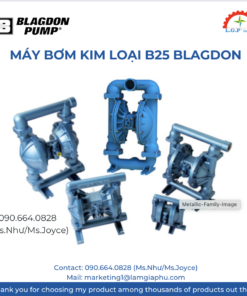 Máy bơm kim loại B25 blagdon