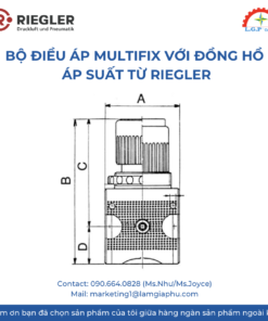 Bộ Điều Áp MULTIFIX với Đồng Hồ Áp Suất từ Riegler.