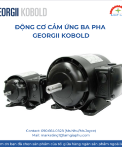 Động Cơ Cảm Ứng Ba Pha Georgii Kobold