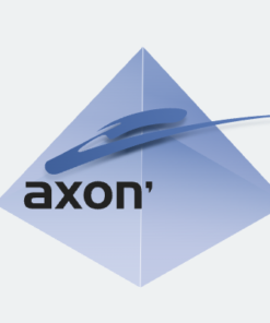 Axon